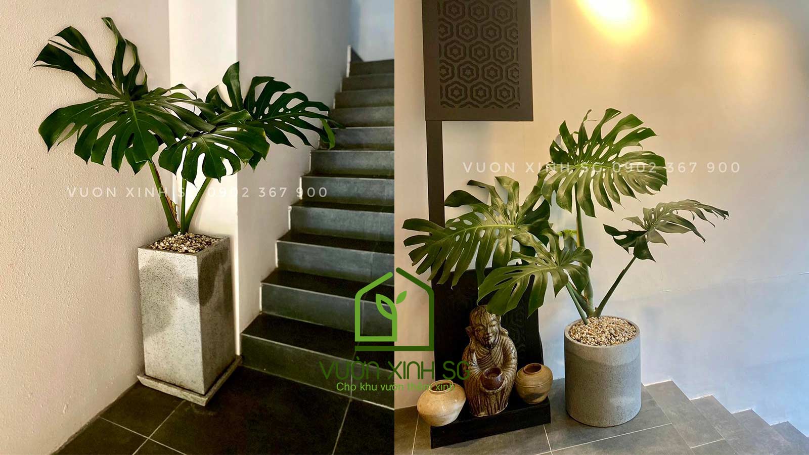 Chậu-đá-mài-Decor-trang-trí-nhà-hàng,-quán-cafe,-khách-sạn