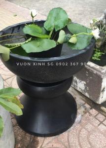 Đôn Kê Chậu Cảnhđôn kê chậu 