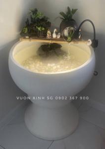 Đôn Kê Chậu Cảnhđôn kê chậu trắng